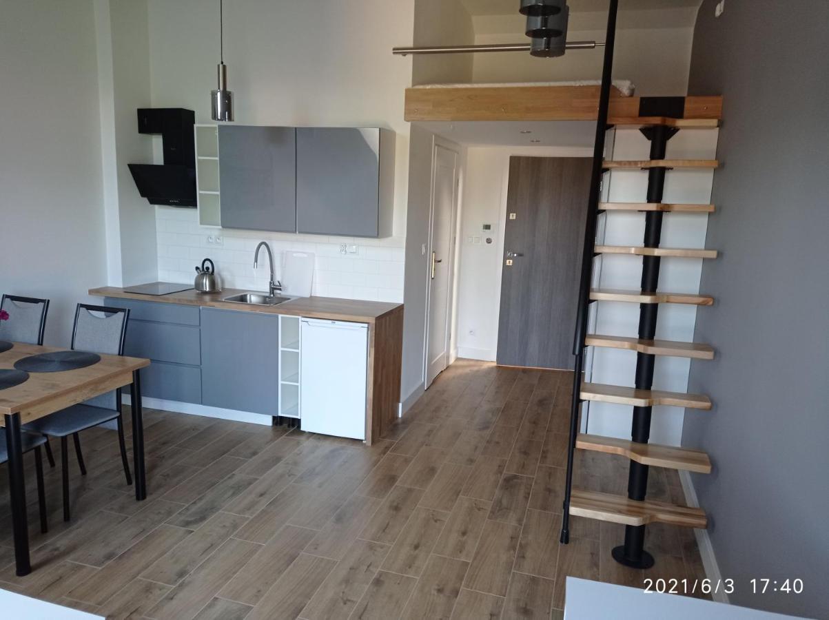 Apartamenty Kasztanowa Zator Exterior photo
