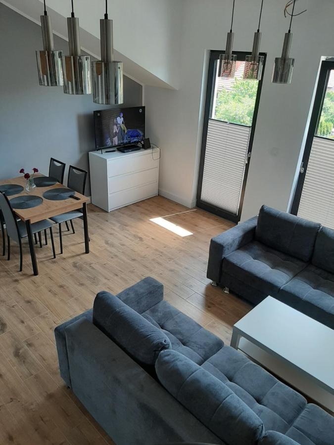 Apartamenty Kasztanowa Zator Exterior photo
